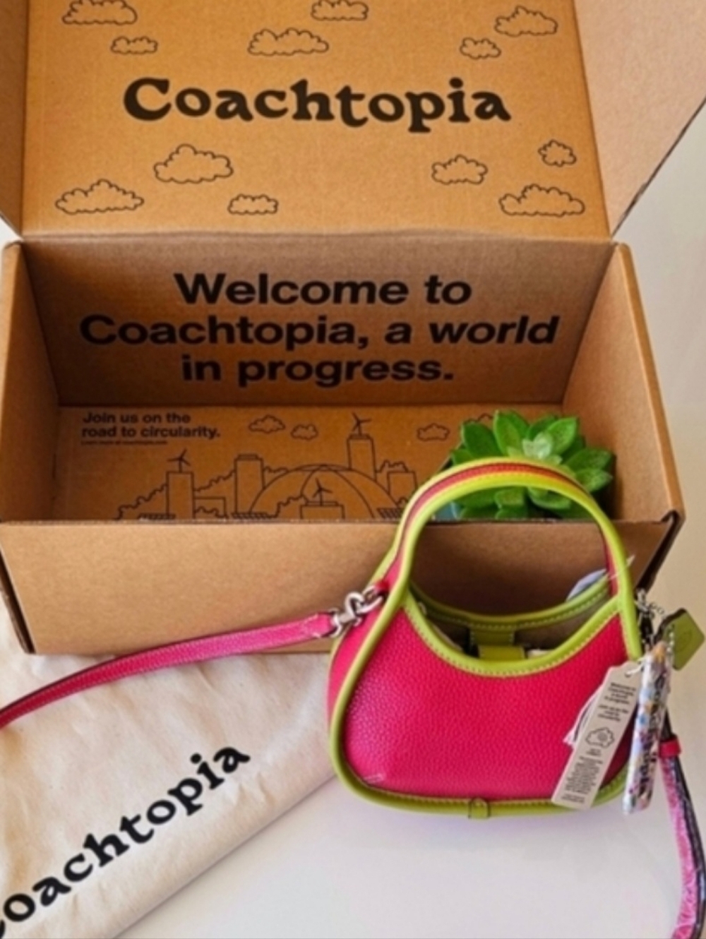 Coachtopia Micro Ergo in Strawberry Haze and Lime Green 🍓🌴